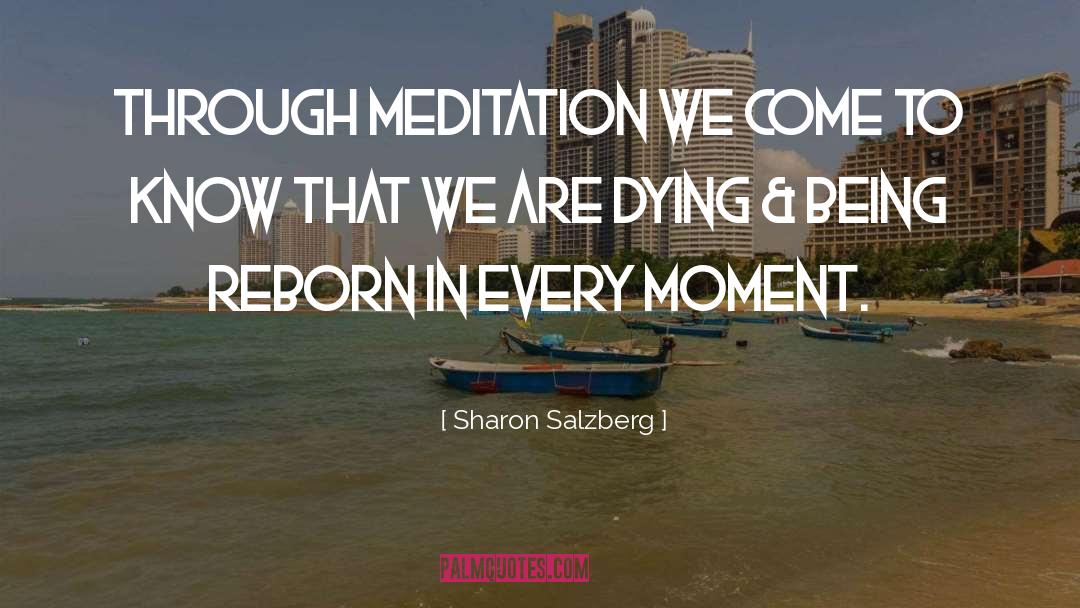 Sharon Salzberg Quotes: Through meditation we come to