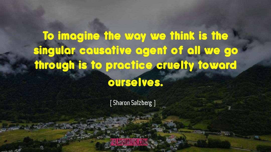 Sharon Salzberg Quotes: To imagine the way we