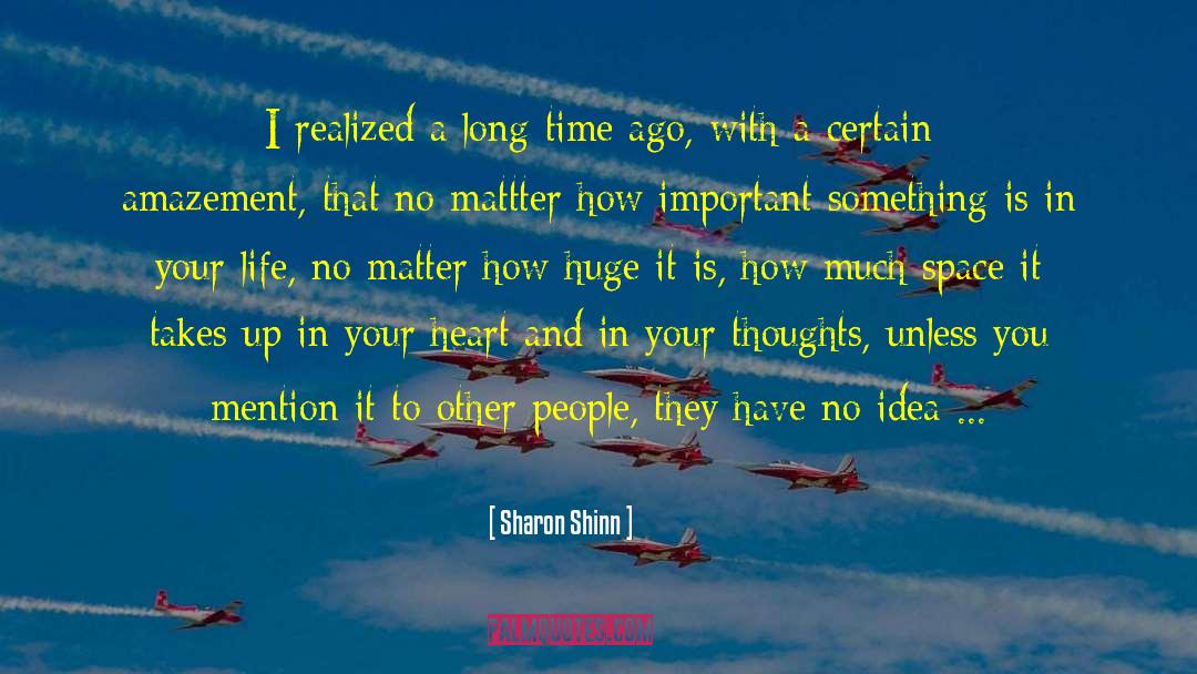 Sharon Shinn Quotes: I realized a long time