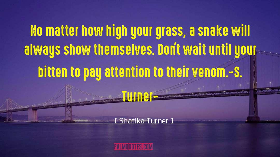 Shatika Turner Quotes: No matter how high your