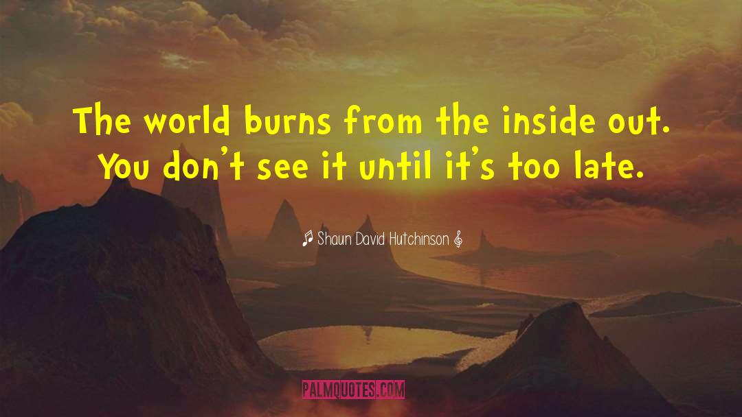 Shaun David Hutchinson Quotes: The world burns from the