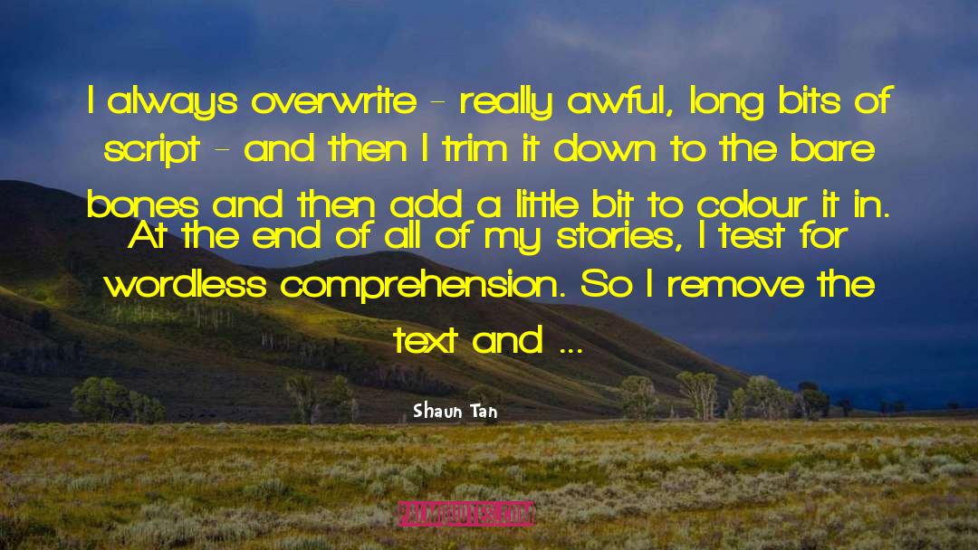 Shaun Tan Quotes: I always overwrite - really