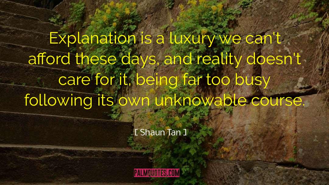 Shaun Tan Quotes: Explanation is a luxury we