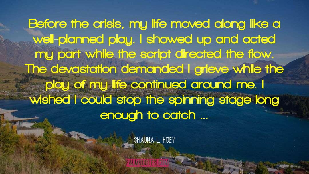 Shauna L. Hoey Quotes: Before the crisis, my life