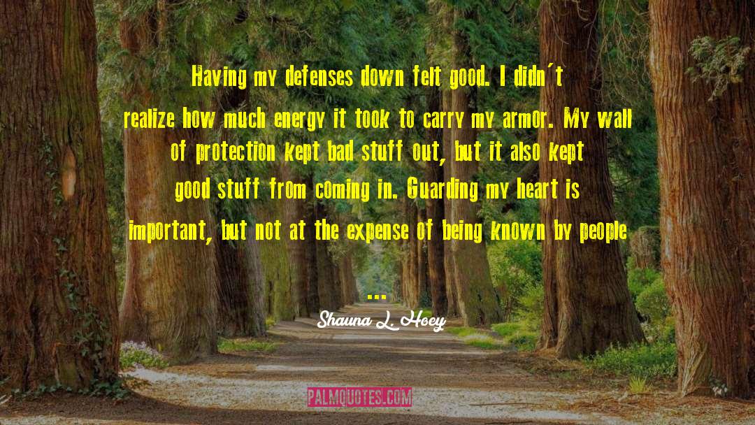 Shauna L. Hoey Quotes: Having my defenses down felt