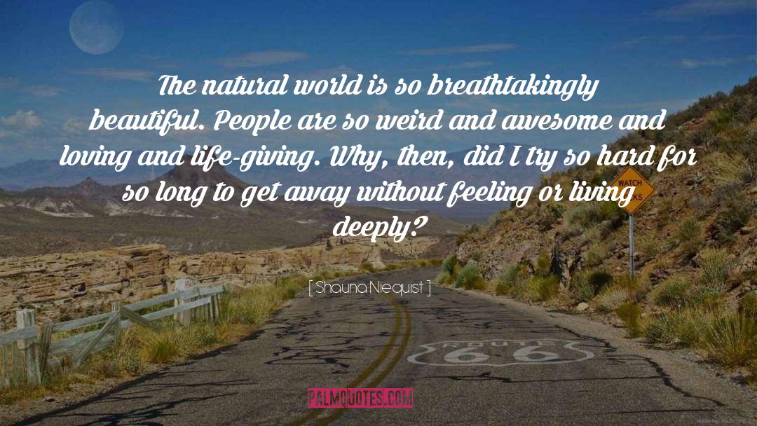 Shauna Niequist Quotes: The natural world is so