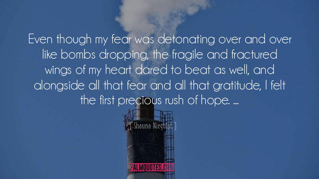 Shauna Niequist Quotes: Even though my fear was