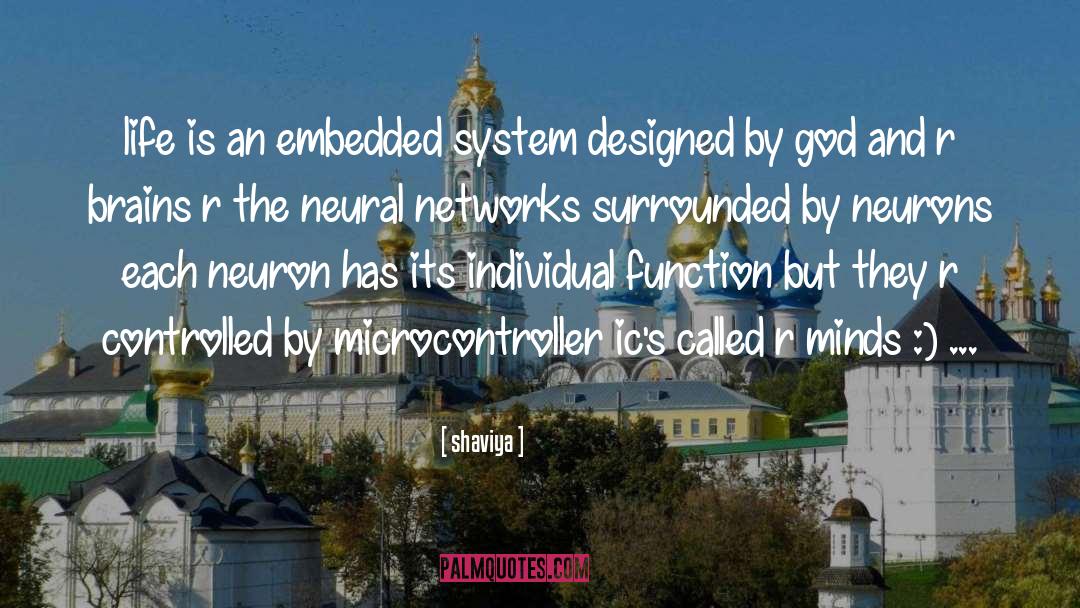 Shaviya Quotes: life is an embedded system