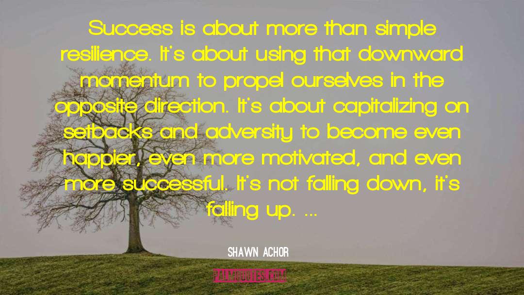 Shawn Achor Quotes: Success is about more than