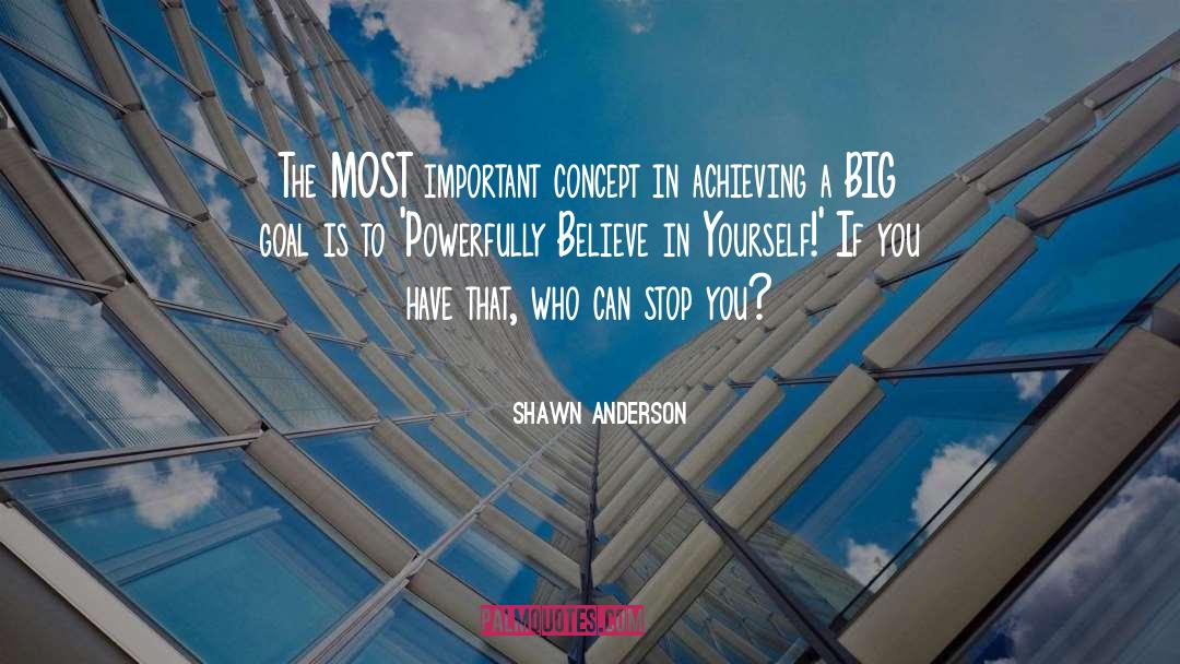 Shawn Anderson Quotes: The MOST important concept in