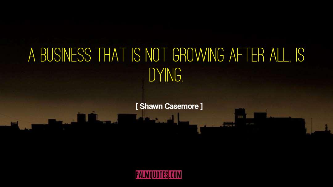 Shawn Casemore Quotes: A business that is not