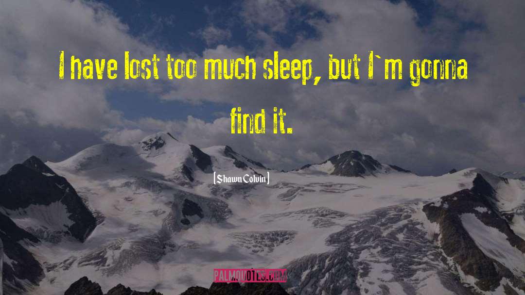 Shawn Colvin Quotes: I have lost too much
