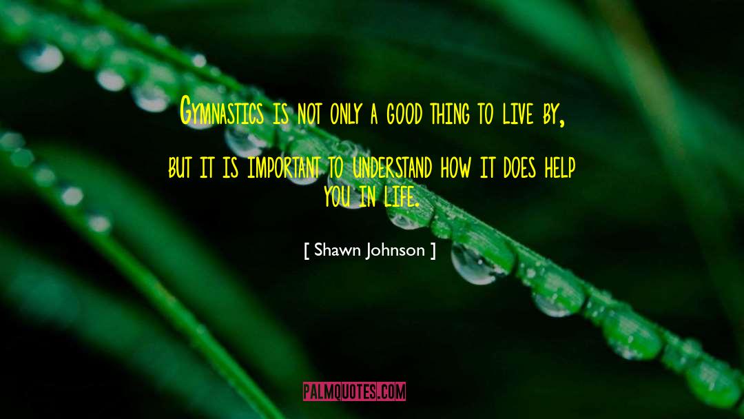 Shawn Johnson Quotes: Gymnastics is not only a