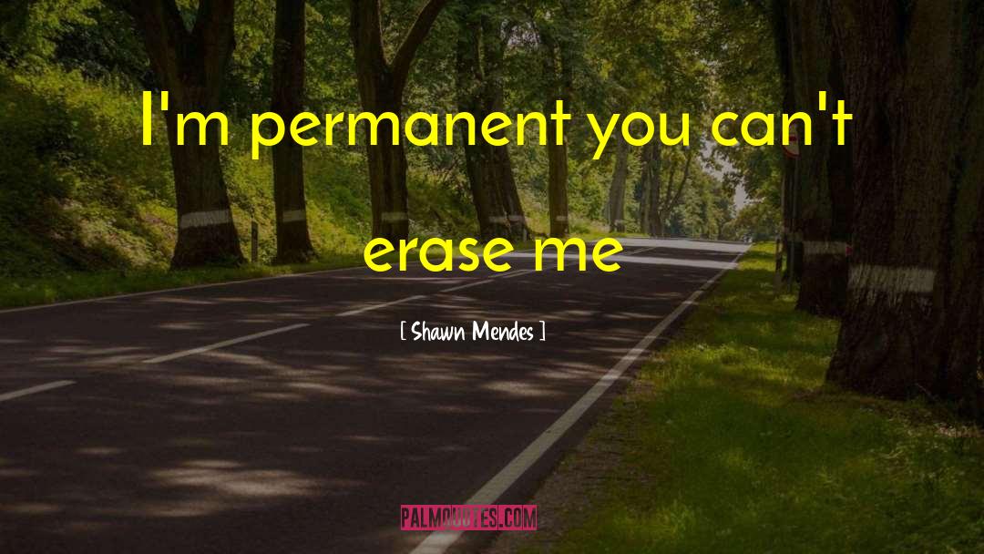 Shawn Mendes Quotes: I'm permanent you can't erase