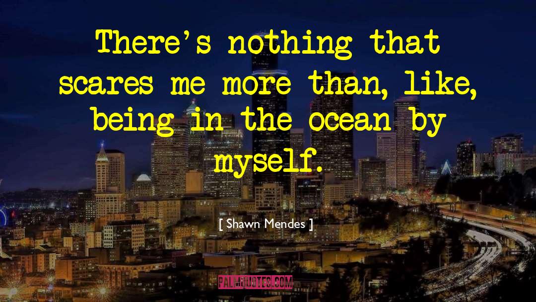 Shawn Mendes Quotes: There's nothing that scares me