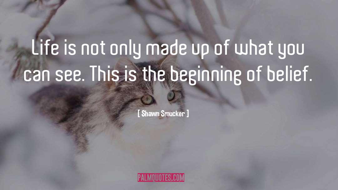 Shawn Smucker Quotes: Life is not only made