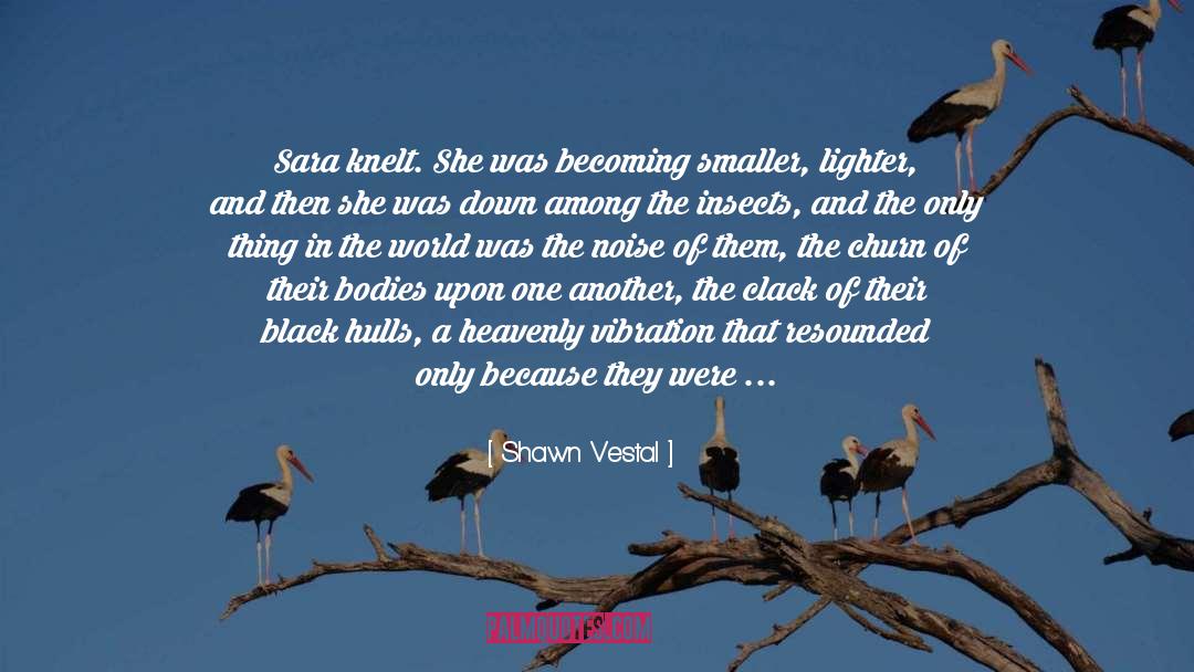 Shawn Vestal Quotes: Sara knelt. She was becoming