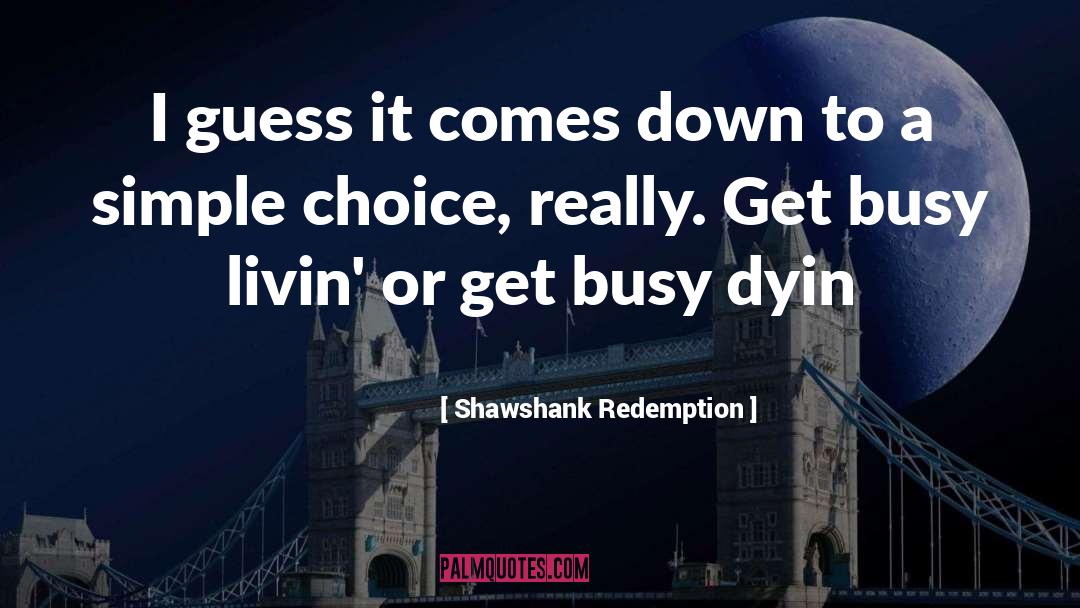 Shawshank Redemption Quotes: I guess it comes down