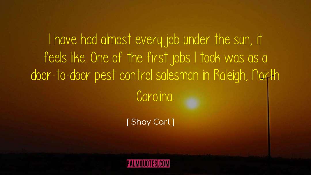 Shay Carl Quotes: I have had almost every