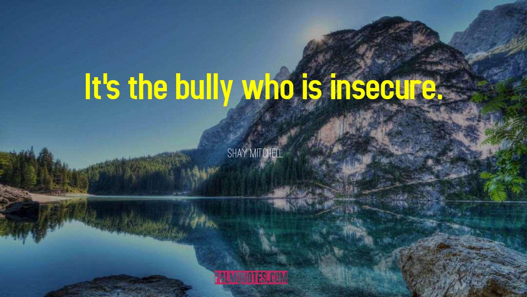 Shay Mitchell Quotes: It's the bully who is