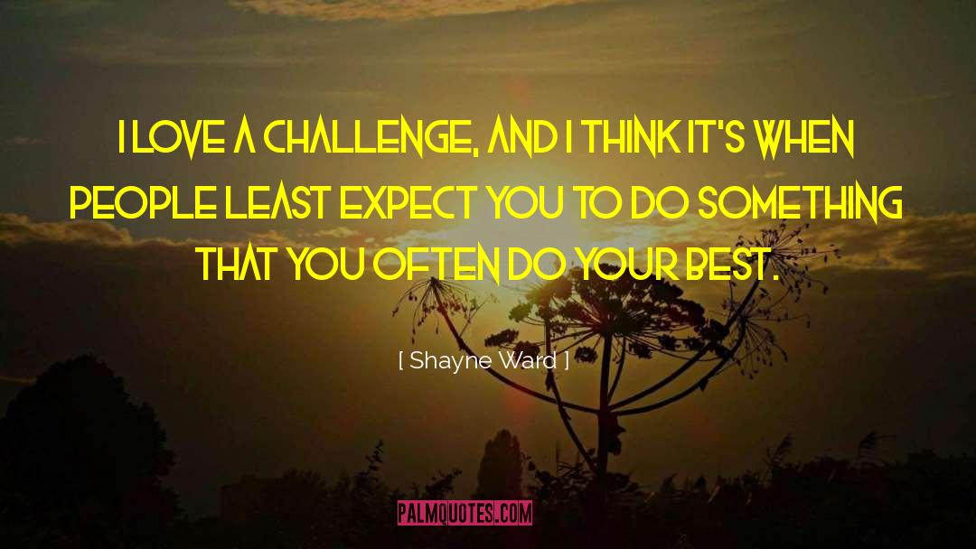Shayne Ward Quotes: I love a challenge, and