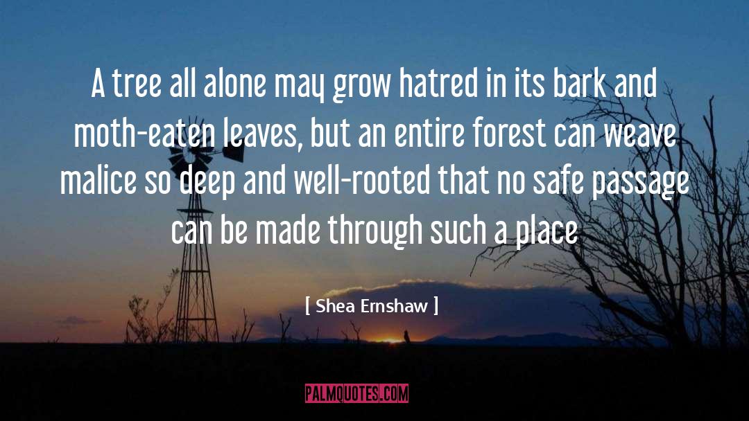 Shea Ernshaw Quotes: A tree all alone may