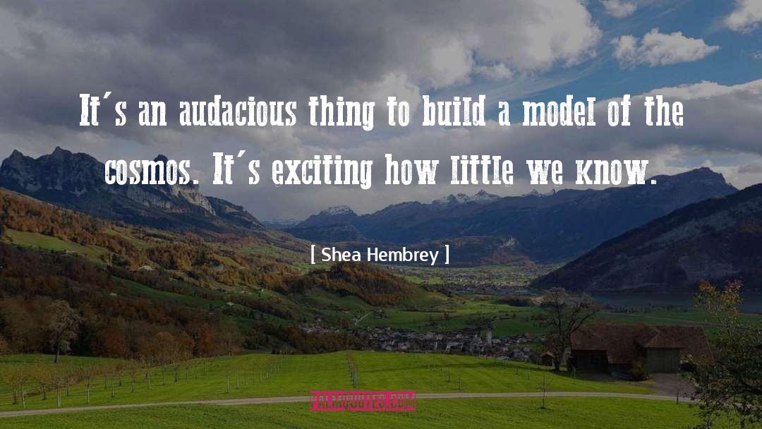 Shea Hembrey Quotes: It's an audacious thing to