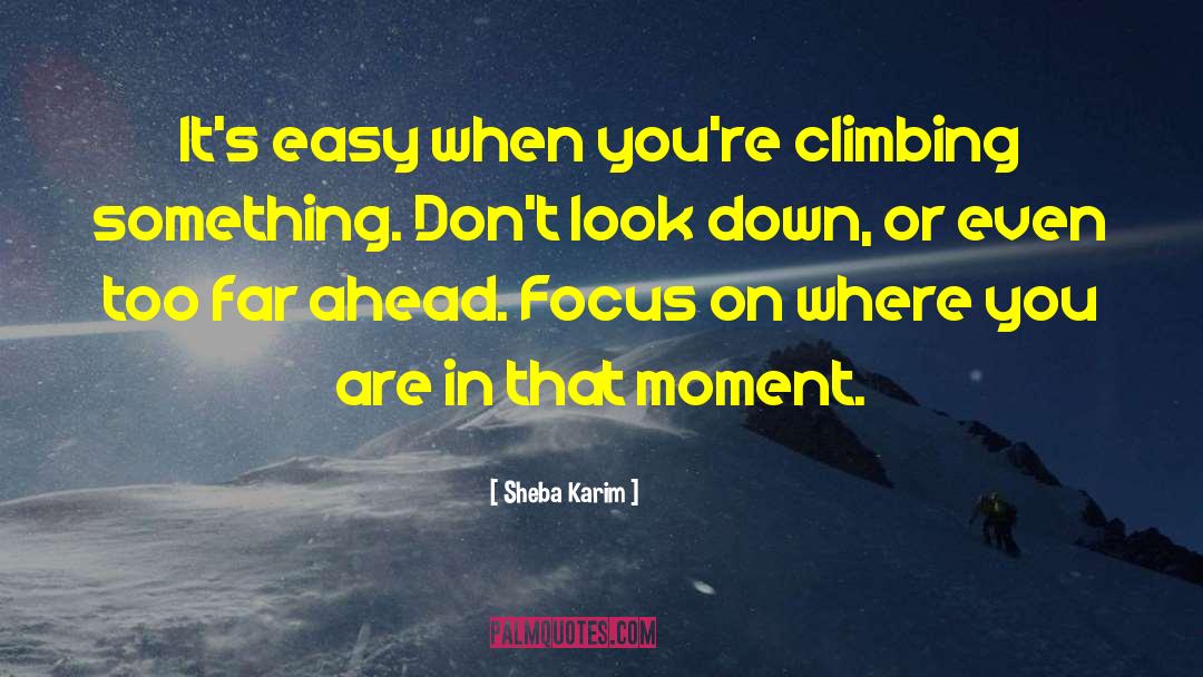 Sheba Karim Quotes: It's easy when you're climbing