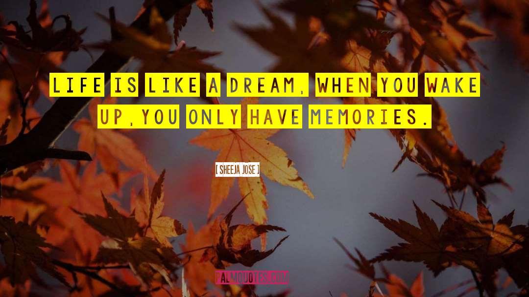 Sheeja Jose Quotes: Life is like a dream,