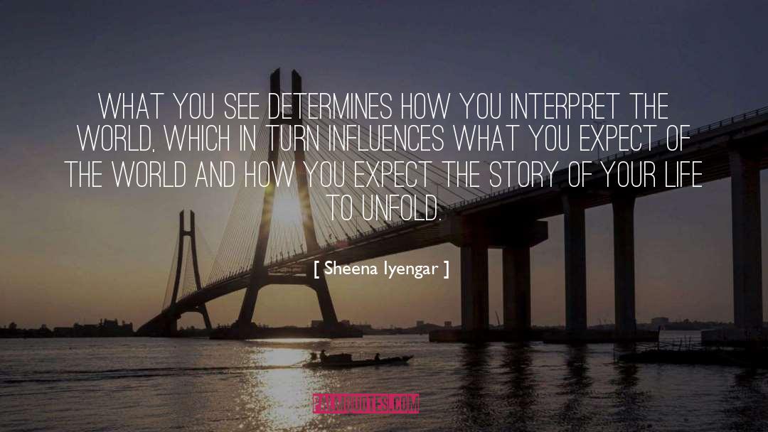 Sheena Iyengar Quotes: What you see determines how