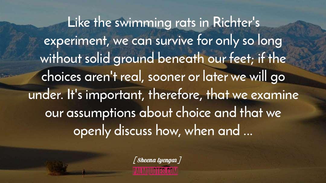 Sheena Iyengar Quotes: Like the swimming rats in