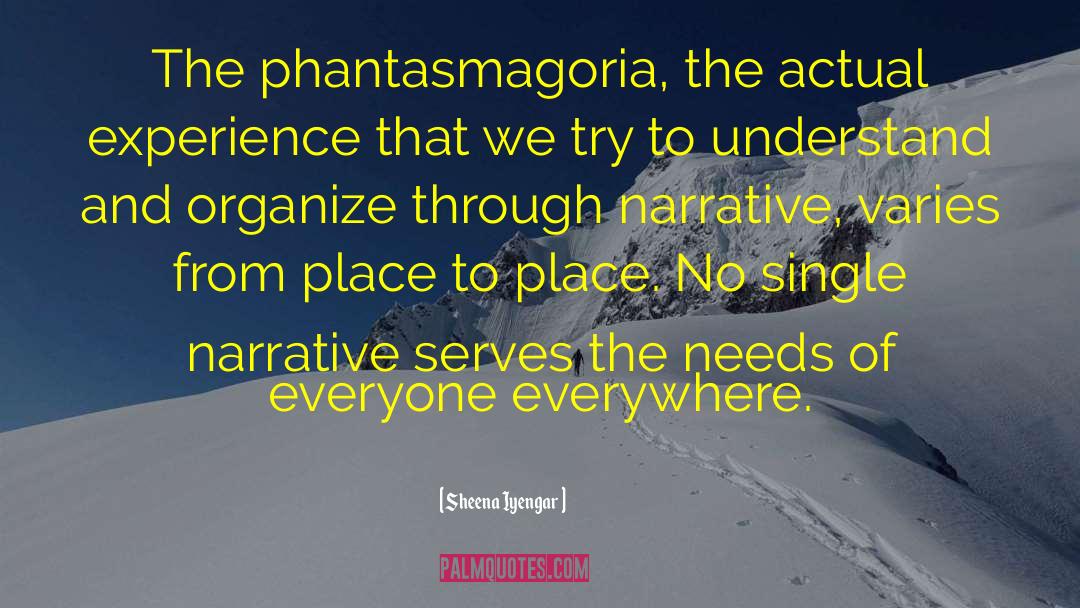 Sheena Iyengar Quotes: The phantasmagoria, the actual experience