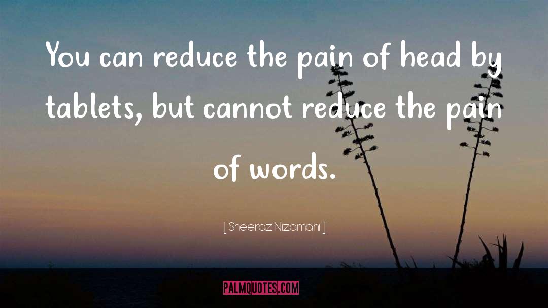 Sheeraz Nizamani Quotes: You can reduce the pain