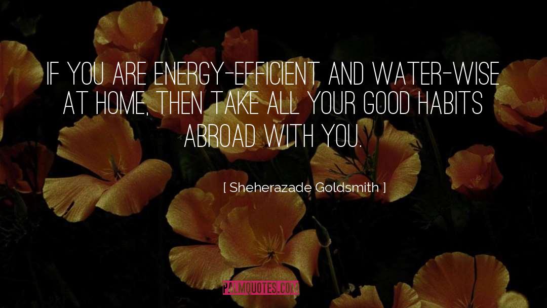 Sheherazade Goldsmith Quotes: If you are energy-efficient and
