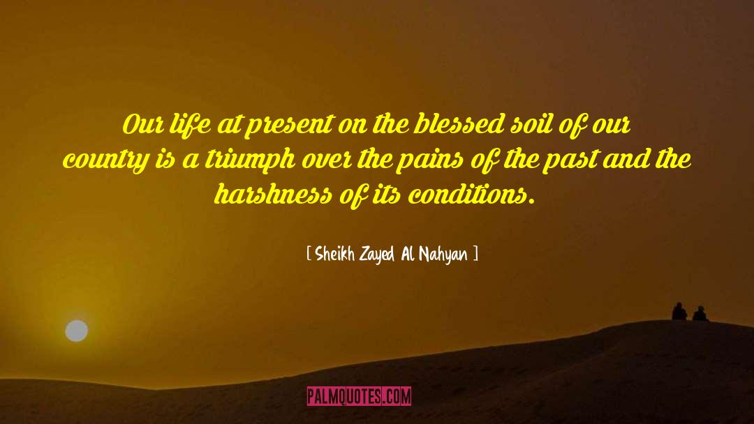 Sheikh Zayed Al Nahyan Quotes: Our life at present on