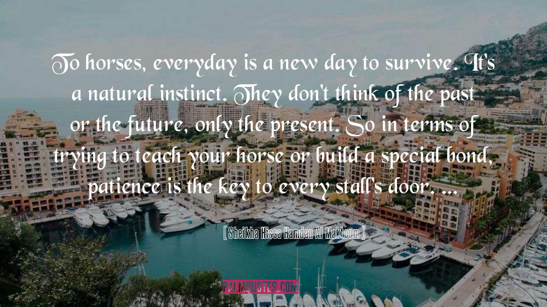 Sheikha Hissa Hamdan Al Maktoum Quotes: To horses, everyday is a