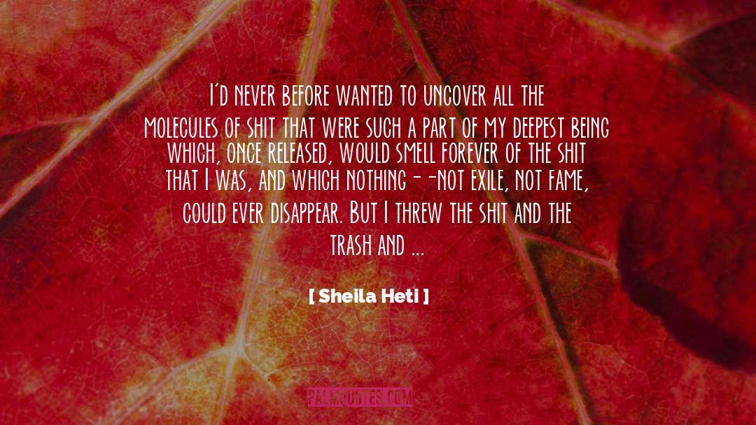 Sheila Heti Quotes: I'd never before wanted to