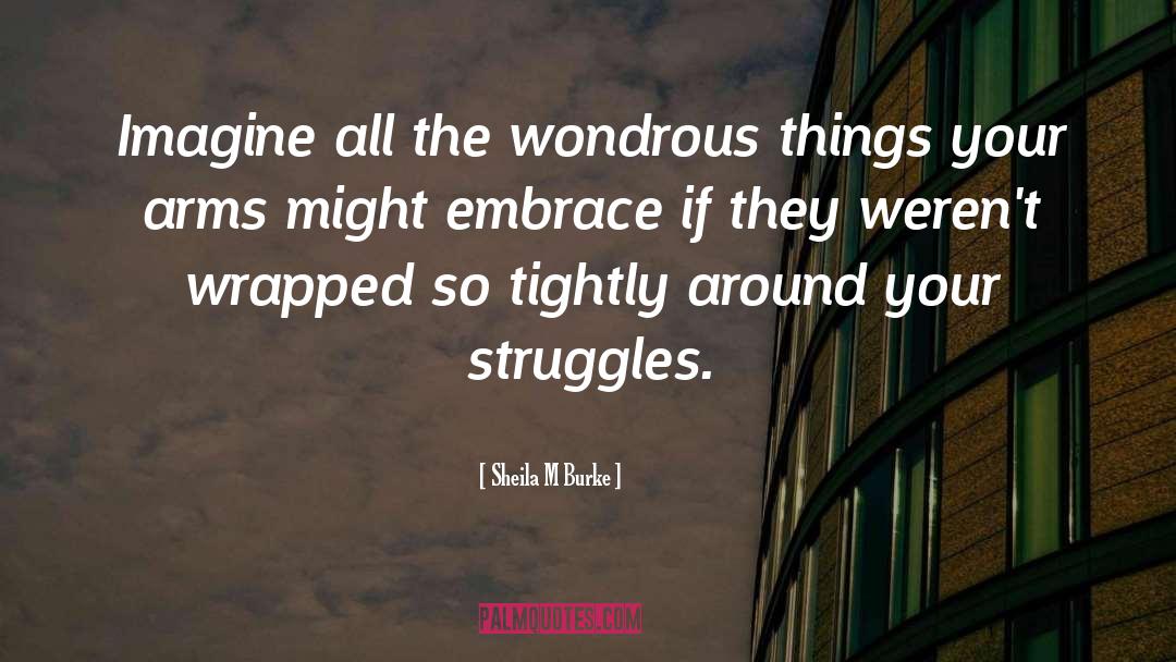 Sheila M Burke Quotes: Imagine all the wondrous things