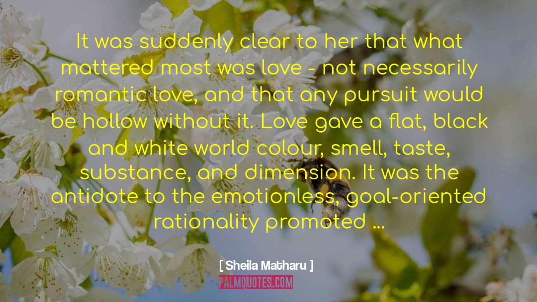 Sheila Matharu Quotes: It was suddenly clear to