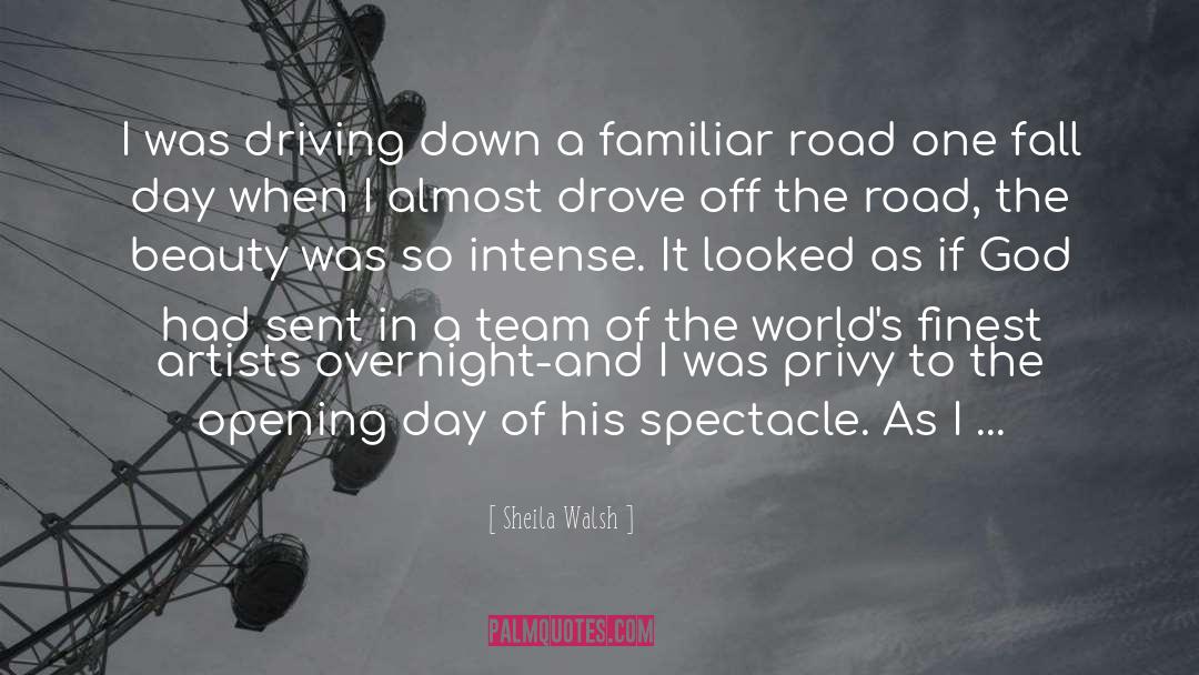 Sheila Walsh Quotes: I was driving down a