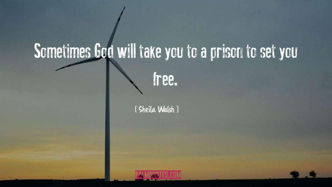 Sheila Walsh Quotes: Sometimes God will take you