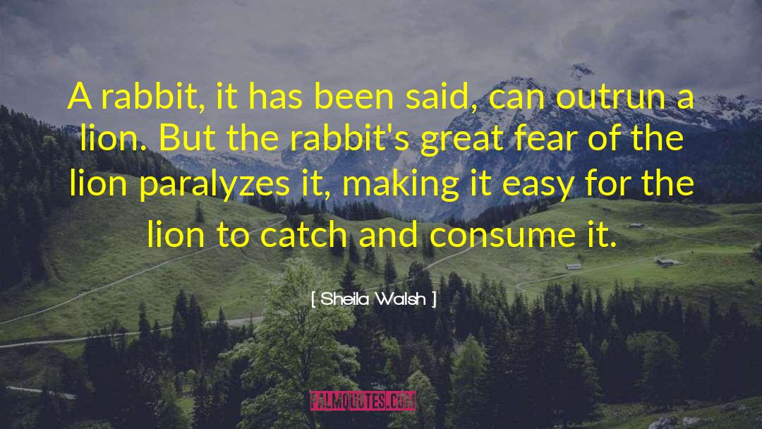 Sheila Walsh Quotes: A rabbit, it has been