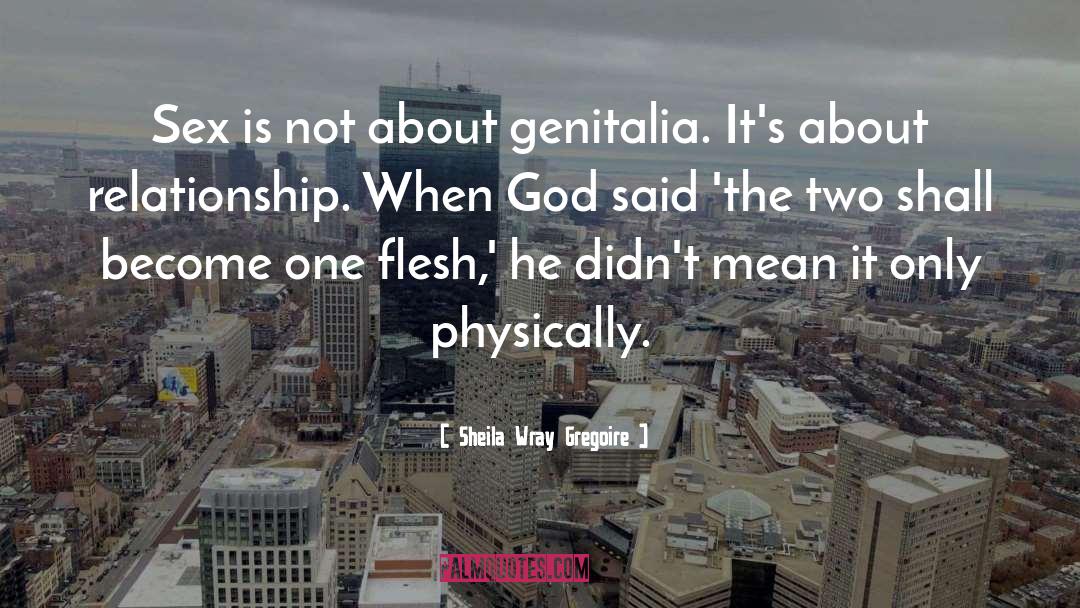 Sheila Wray Gregoire Quotes: Sex is not about genitalia.