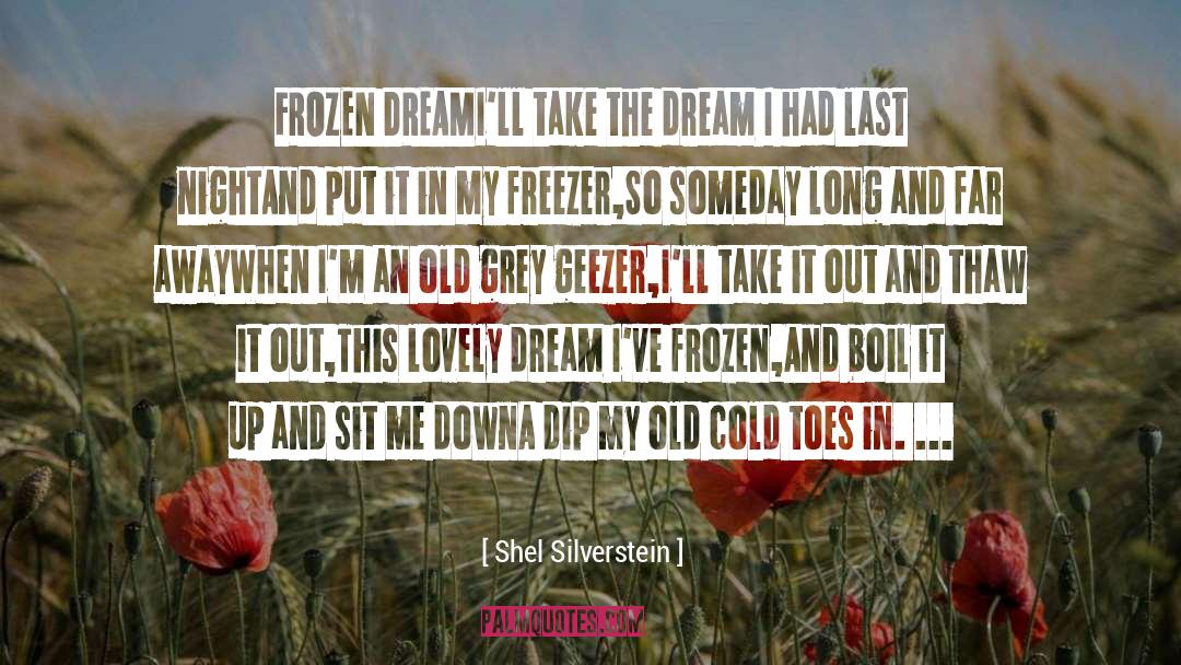 Shel Silverstein Quotes: FROZEN DREAM<br>I'll take the dream