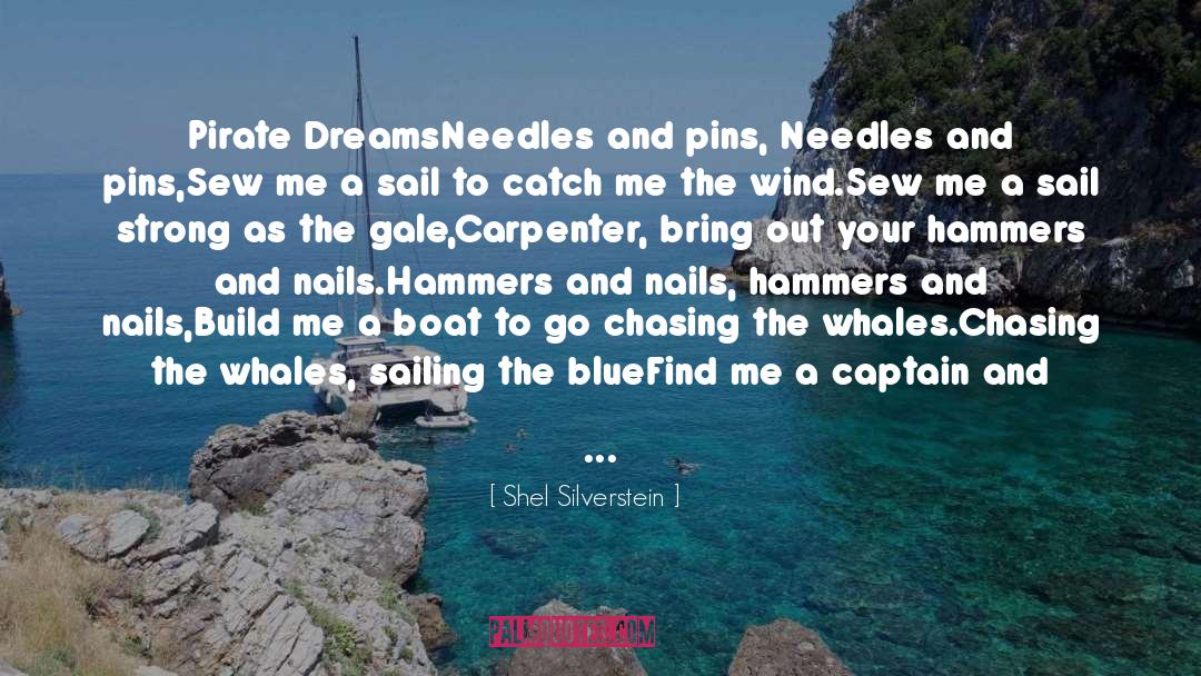 Shel Silverstein Quotes: Pirate Dreams<br>Needles and pins, Needles