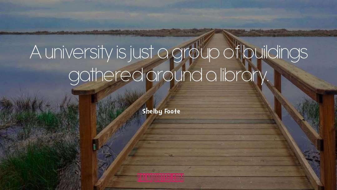 Shelby Foote Quotes: A university is just a