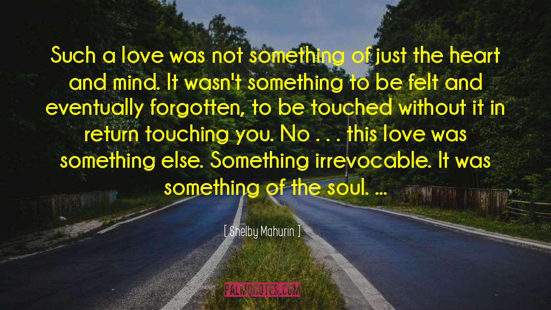 Shelby Mahurin Quotes: Such a love was not