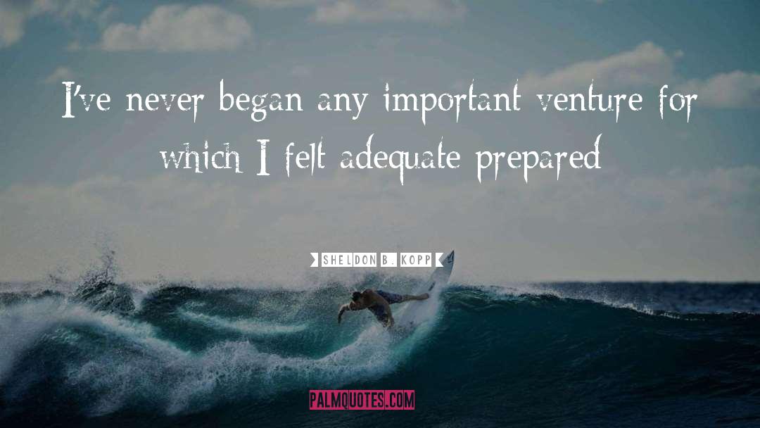 Sheldon B. Kopp Quotes: I've never began any important