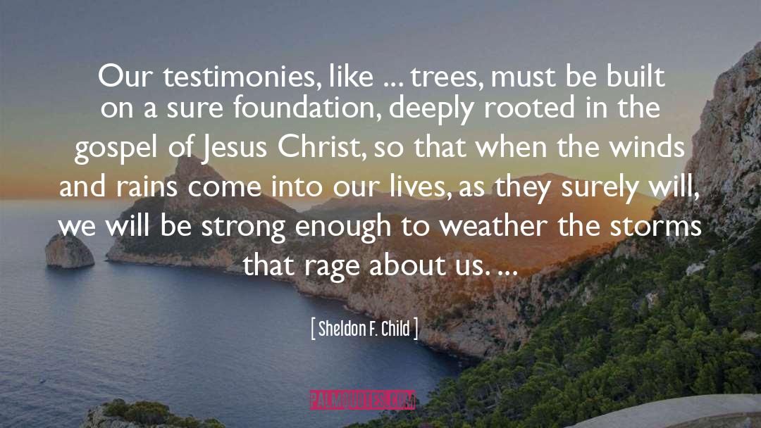 Sheldon F. Child Quotes: Our testimonies, like ... trees,