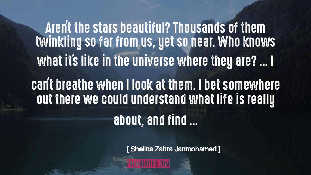 Shelina Zahra Janmohamed Quotes: Aren't the stars beautiful? Thousands
